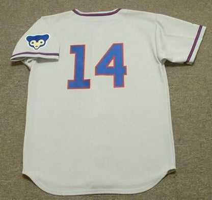 Ernie Banks Chicago Cubs 1968 Baseball jersey retro stitched fan gear RTJ01000