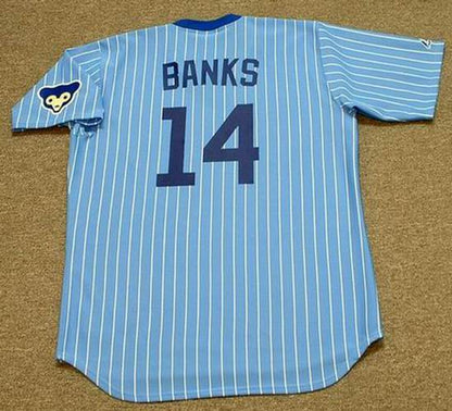 Ernie Banks Chicago Cubs Baseball jersey retro stitched fan gear RTJ00996