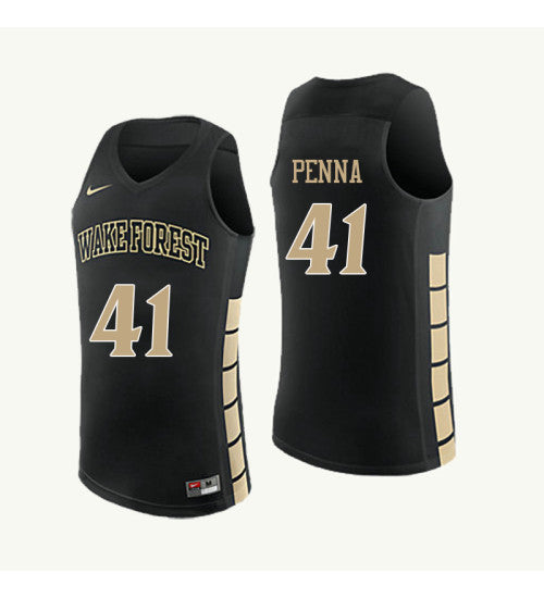 Wake Forest Demon Deacons 41 Elisa Penna College Basketball Jersey Black retro stitched fan jersey RTJ7053 image 1