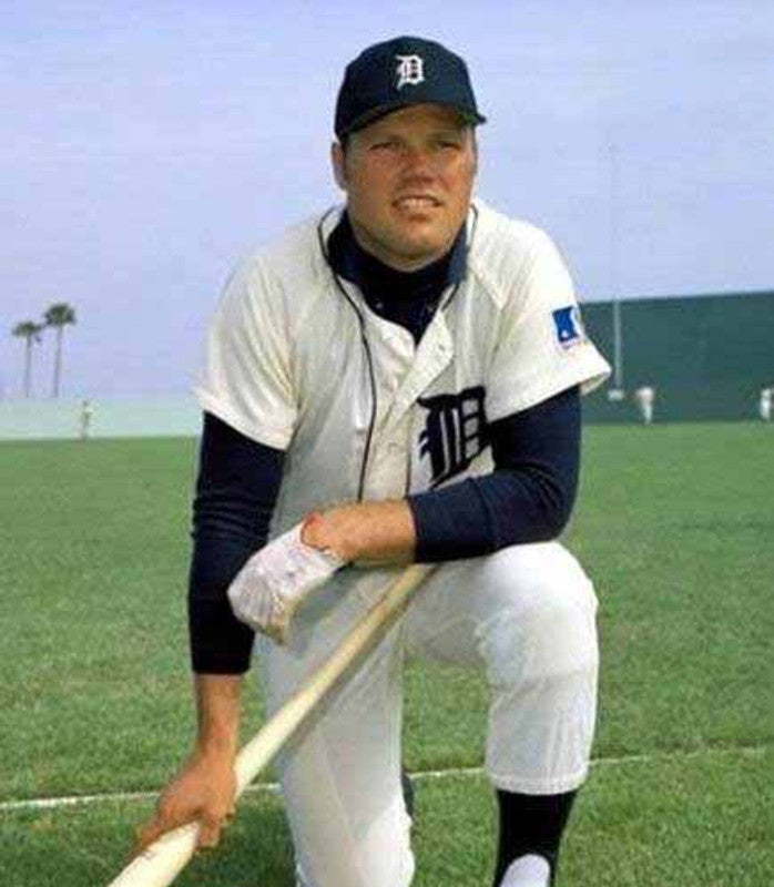 Bill Freehan Detroit Tigers 1969 Baseball jersey retro stitched fan gear RTJ01777