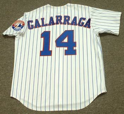 Andres Galarraga Montreal Expos 2002 Baseball jersey retro stitched fan gear RTJ01913