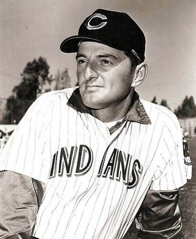 Ken Harrelson Cleveland Indians 1970 Baseball jersey retro stitched fan gear RTJ00254