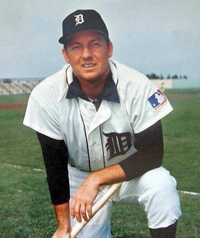 Detroit Tigers Detroit Tigers 1969 Baseball jersey retro stitched fan gear RTJ01152