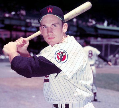 HK WS 1960 Throwback Baseball Stitched Jersey, Vintage Baseball Jersey, Retro Sewn Jersey