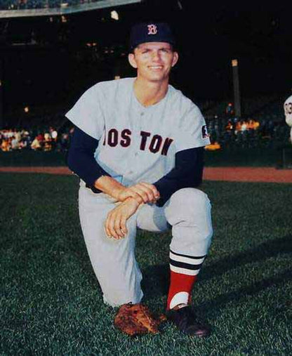 Bill Lee Boston Red Sox 1969 Baseball jersey retro stitched fan gear RTJ01773