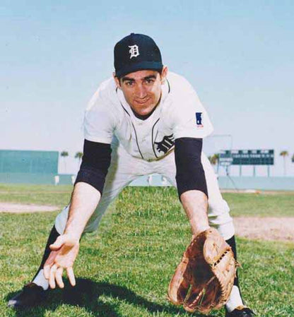 Dick Mcauliffe Detroit Tigers 1969 Baseball jersey retro stitched fan gear RTJ01141