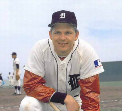 Jim Northrup Detroit Tigers 1969 Baseball jersey retro stitched fan gear RTJ00548