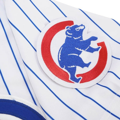 Andre Dawson Chicago Cubs Baseball jersey retro stitched fan gear RTJ02221