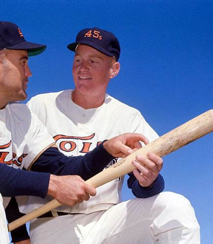 HC HC 1960s Cooperstown Custom Stitched Jersey Any Name & Number, Vintage Baseball Jersey, Retro Sewn Jersey